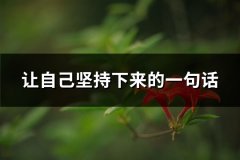让自己坚持下来的一句话(推荐84句)