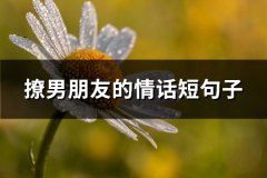 撩男朋友的情话短句子(精选112句)