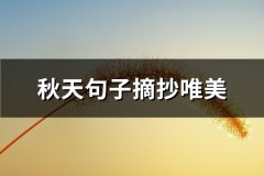 秋天句子摘抄唯美(推荐91句)