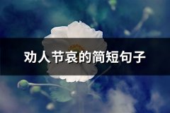 劝人节哀的简短句子(推荐80句)