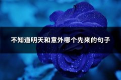 不知道明天和意外哪个先来的句子(实用83句)