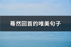 蓦然回首的唯美句子(实用80句)