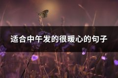 适合中午发的很暖心的句子(优选86句)