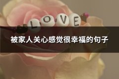 被家人关心感觉很幸福的句子(通用82句)