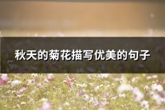 秋天的菊花描写优美的句子(精选89句)