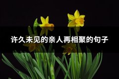 许久未见的亲人再相聚的句子(优选92句)