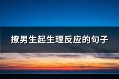 撩男生起生理反应的句子(汇总118句)