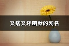 又痞又坏幽默的网名(89个)