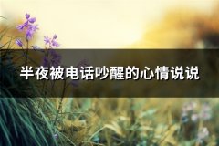 半夜被电话吵醒的心情说说(共39句)