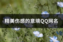精美伤感的意境QQ网名(精选164个)