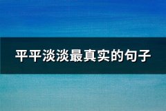 平平淡淡最真实的句子(共45句)