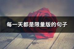 每一天都是限量版的句子(推荐80句)