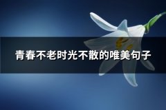 青春不老时光不散的唯美句子(优选90句)