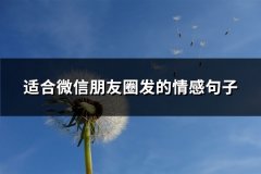 适合微信朋友圈发的情感句子(精选80句)