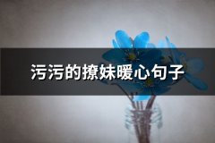 污污的撩妹暖心句子(汇总110句)