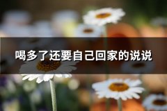 喝多了还要自己回家的说说(优选87句)