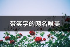 带笑字的网名唯美(共179个)