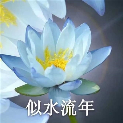 网上很火的老人头像(共16张)