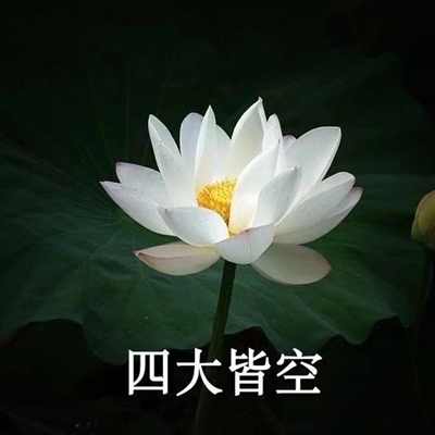 网上很火的老人头像(共16张)