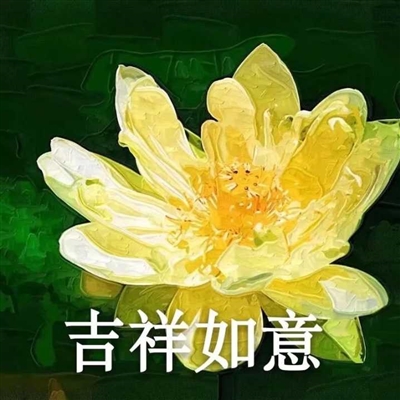 网上很火的老人头像(共16张)
