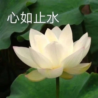 网上很火的老人头像(共16张)