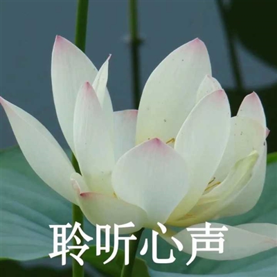 网上很火的老人头像(共16张)