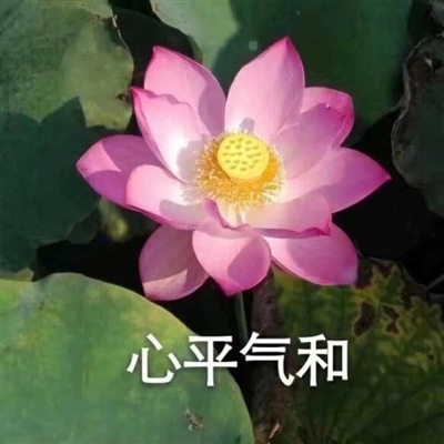 网上很火的老人头像(共16张)