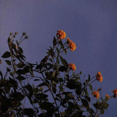 适合50岁大妈的微信头像风景(优选16张)