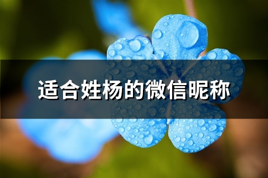 适合姓杨的微信昵称(188个)