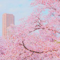 阳光干净的微信头像高清(精选16张)