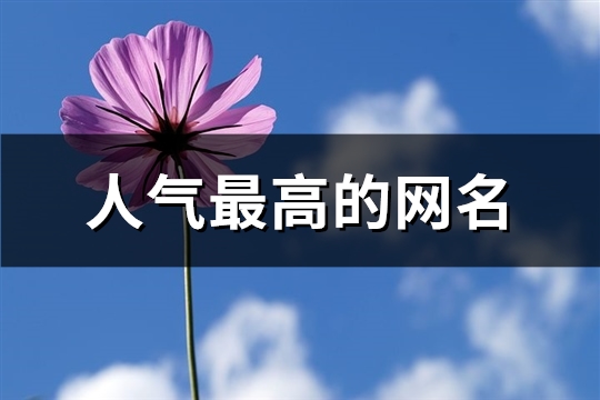 人气最高的网名(98个)