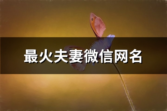 最火夫妻微信网名(共160个)