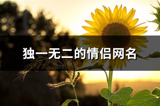 独一无二的情侣网名(共112个)