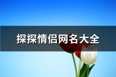 探探情侣网名大全(共168个)