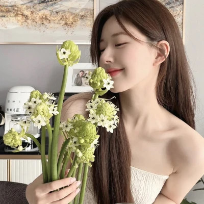 气质网红美女头像(12张)