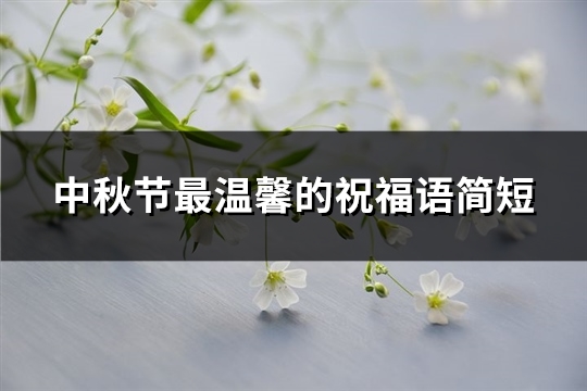 中秋节最温馨的祝福语简短(89句)