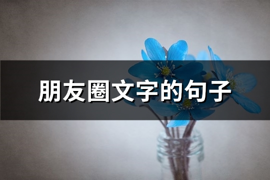 朋友圈文字的句子(共146句)