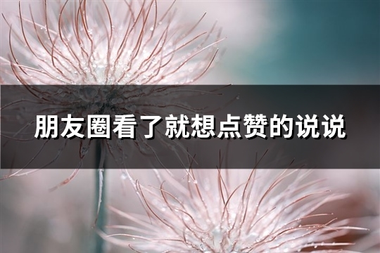 朋友圈看了就想点赞的说说(推荐90句)