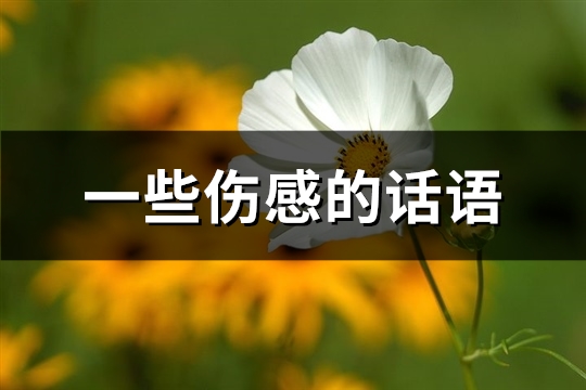 一些伤感的话语(推荐94句) 一些伤感的话语(推荐94句)