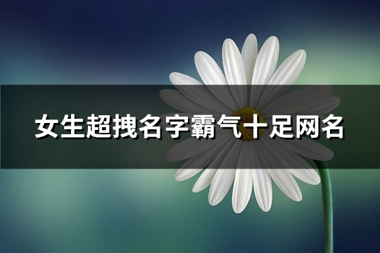 女生超拽名字霸气十足网名(精选82个)