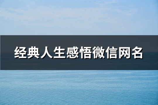 经典人生感悟微信网名(173个)