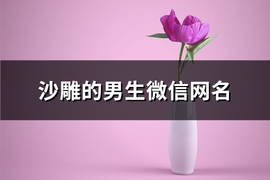 沙雕的男生微信网名(82个)