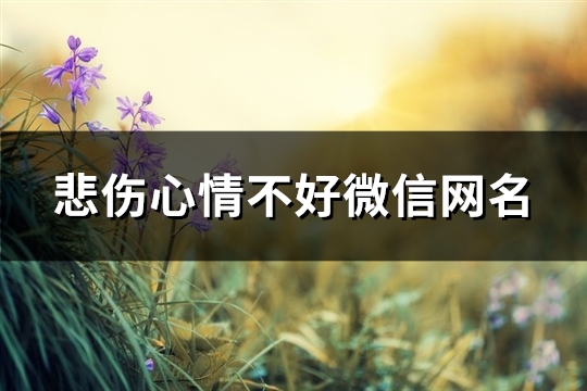 悲伤心情不好微信网名(精选145个)