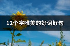 12个字唯美的好词好句