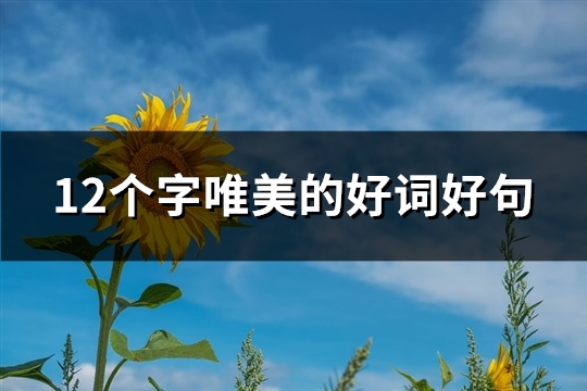 12个字唯美的好词好句