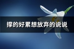 撑的好累想放弃的说说(81句)