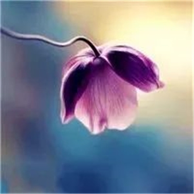 妈妈适合的微信头像(精选16张)
