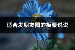 适合发朋友圈的板栗说说(39句)