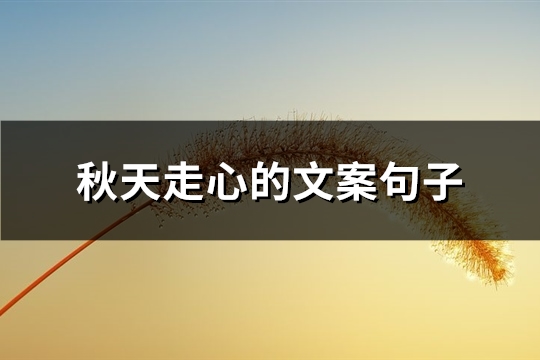 秋天走心的文案句子(推荐94句)