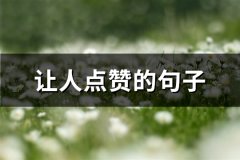 让人点赞的句子(116句)